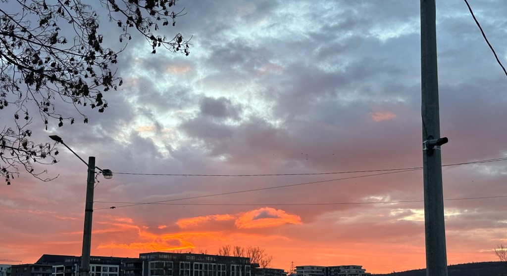 poza versus realitate