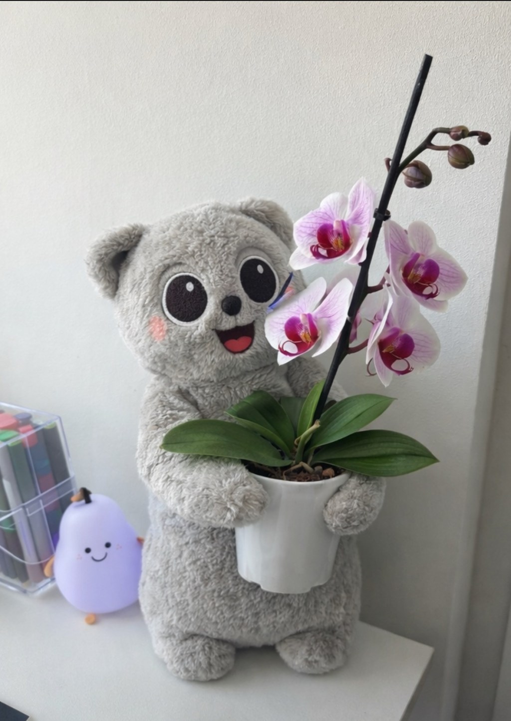 cam creepy, but&nbsp;ok